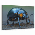 Elegant Beetle Wall Art - Black & Gold Insect Design on Canvas & Prints