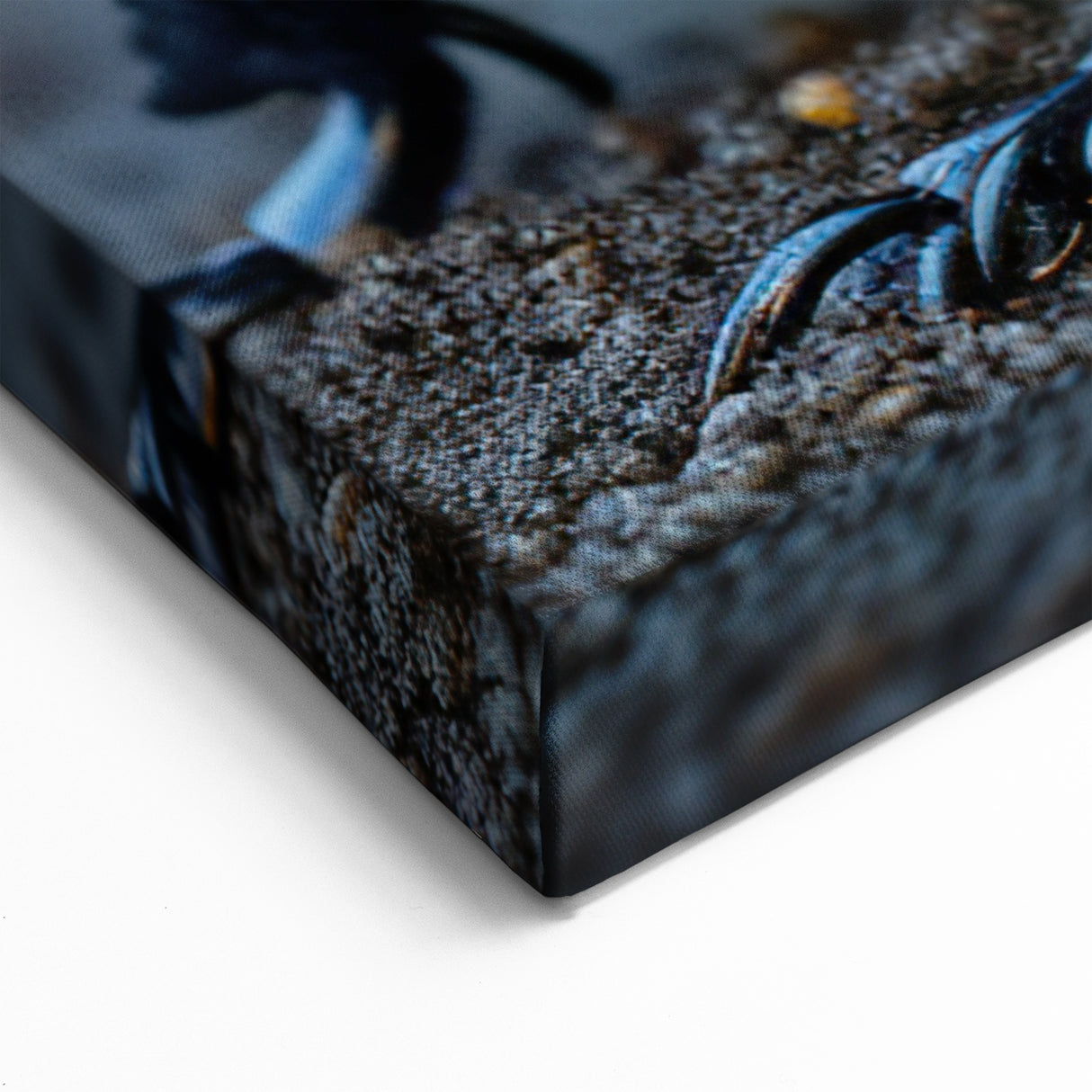 Elegant Beetle Wall Art - Black & Gold Insect Design on Canvas & Prints