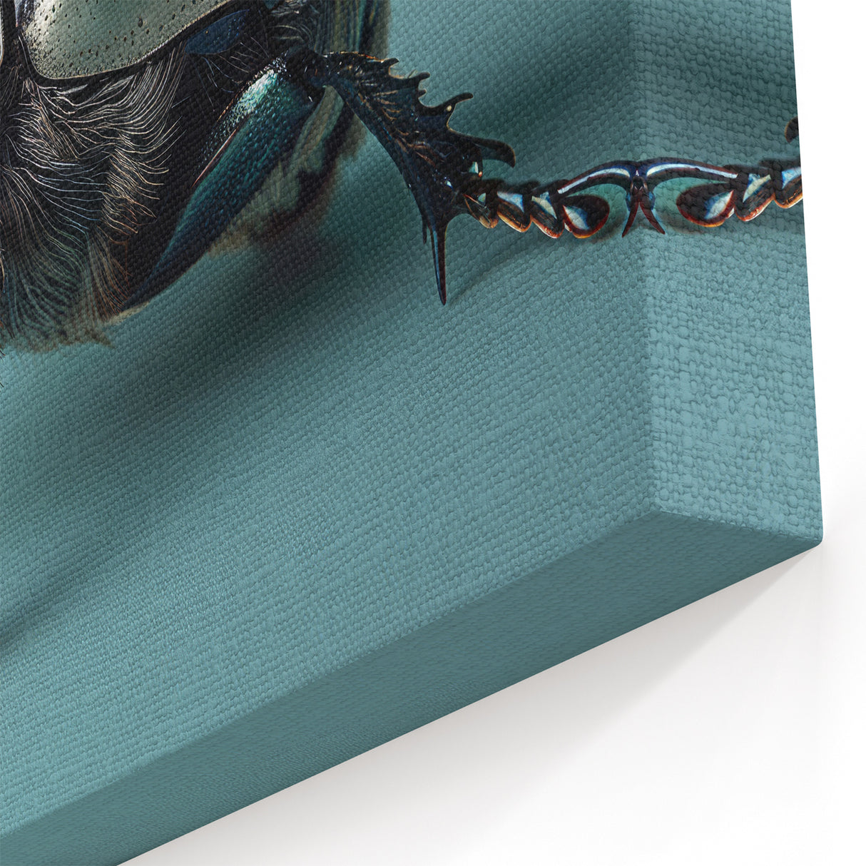 Chic Beetle Wall Art - Striped Insect Design on Canvas & Acrylic Prints