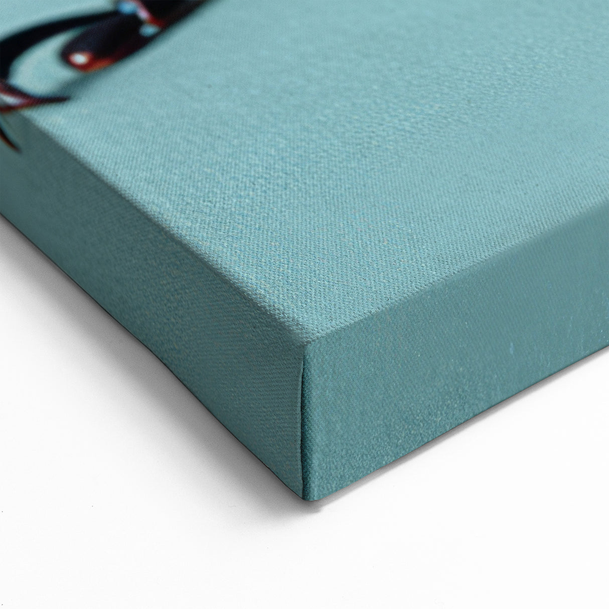 Chic Beetle Wall Art - Striped Insect Design on Canvas & Acrylic Prints