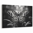 Monochrome Butterfly Wall Art - Striking Black & White Nature Decor
