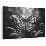 Monochrome Butterfly Wall Art - Striking Black & White Nature Decor