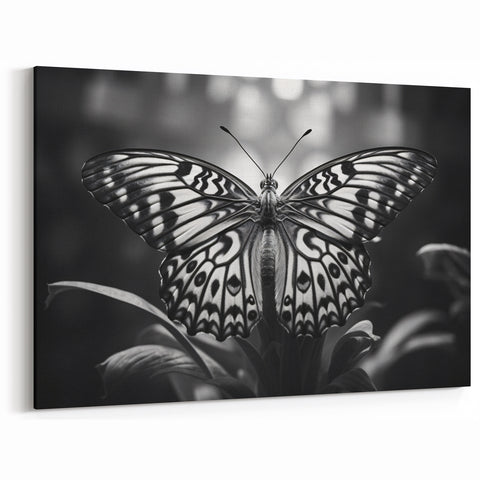 Monochrome Butterfly Wall Art - Striking Black & White Nature Decor