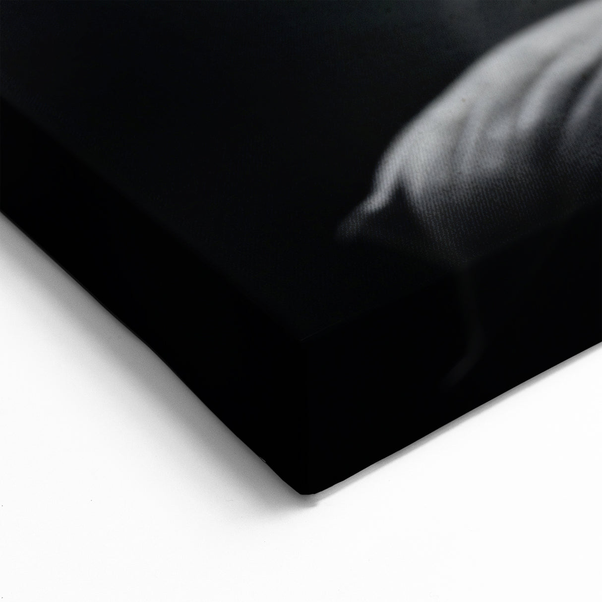 Monochrome Butterfly Wall Art - Striking Black & White Nature Decor