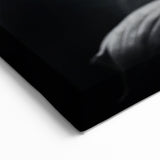 Monochrome Butterfly Wall Art - Striking Black & White Nature Decor