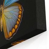 Vibrant Butterfly Wall Art - Bold Blue and Yellow Nature Decor