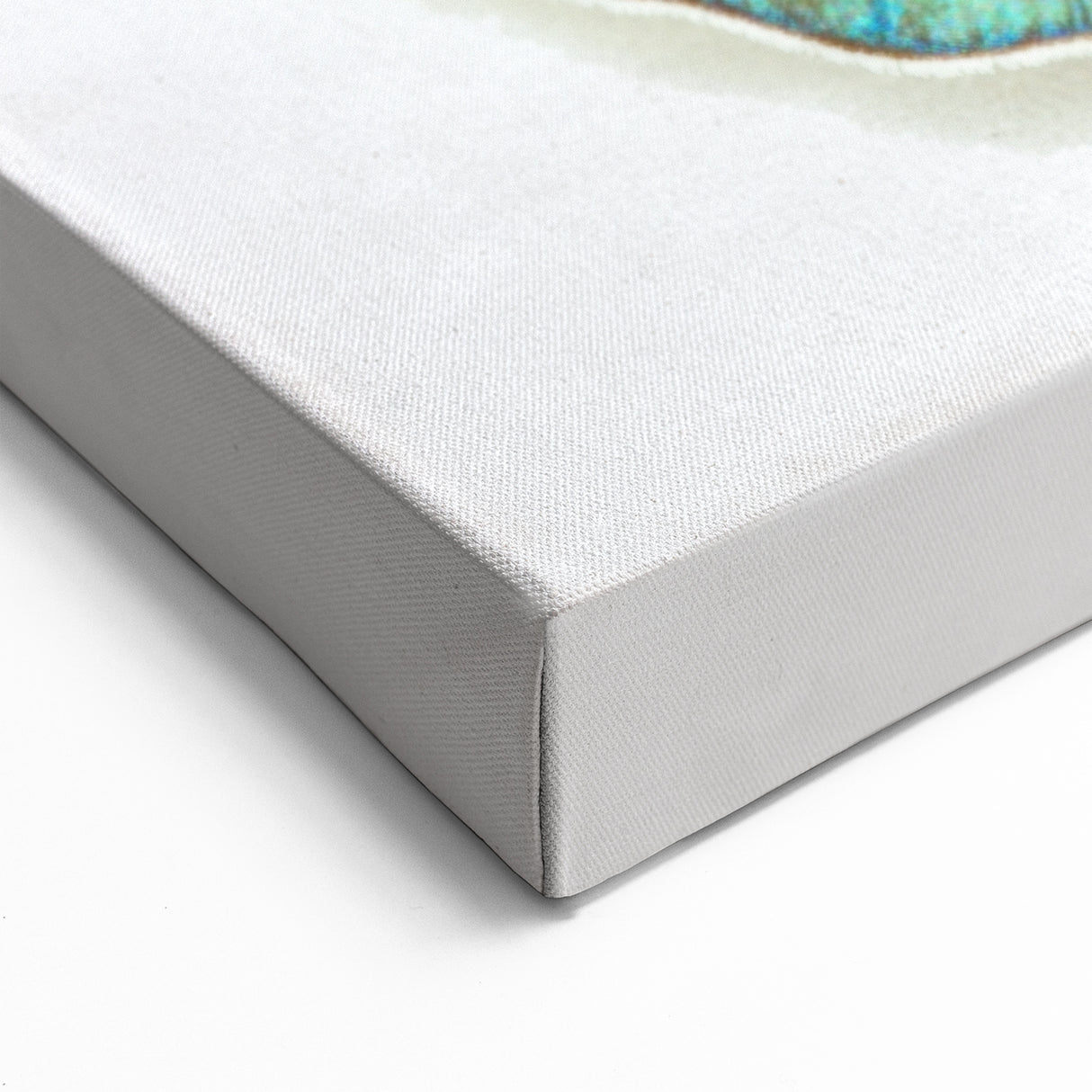 Vibrant Blue & Orange Butterfly Wall Art - Stunning Canvas Print