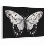 Elegant Monochrome Butterfly Wall Art - Black & White Nature Decor
