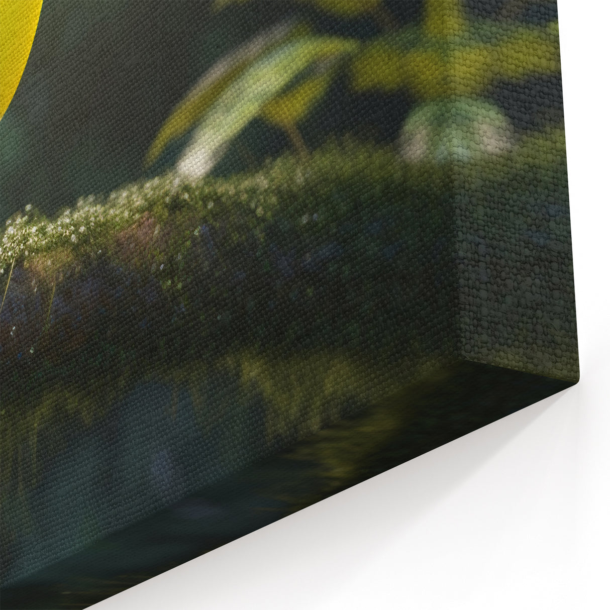 Tropical Toucan in Rainforest Wall Art - Exotic Birds Canvas Print Decor