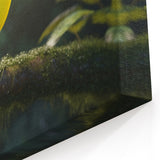 Tropical Toucan in Rainforest Wall Art - Exotic Birds Canvas Print Decor