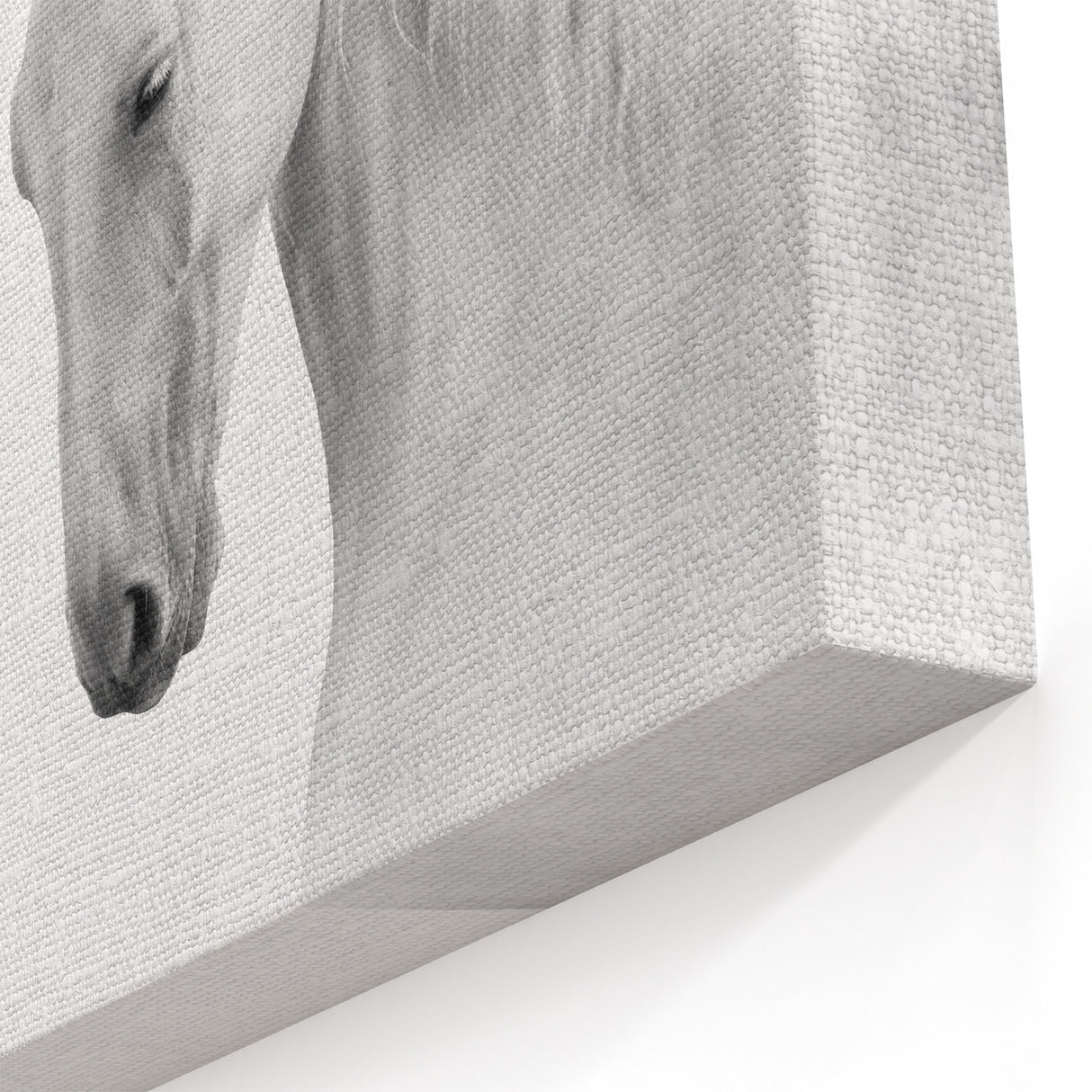 Graceful Horse Wall Art - Elegant Black & White Horse Canvas Print