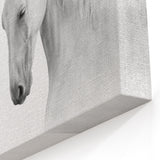 Graceful Horse Wall Art - Elegant Black & White Horse Canvas Print