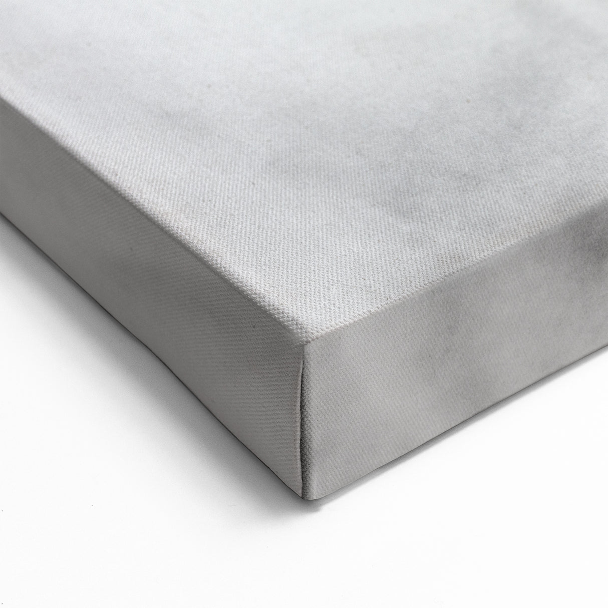 Graceful Horse Wall Art - Elegant Black & White Horse Canvas Print