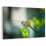 Dragonfly Wall Art - Nature Inspired Canvas & Framed Print Decor
