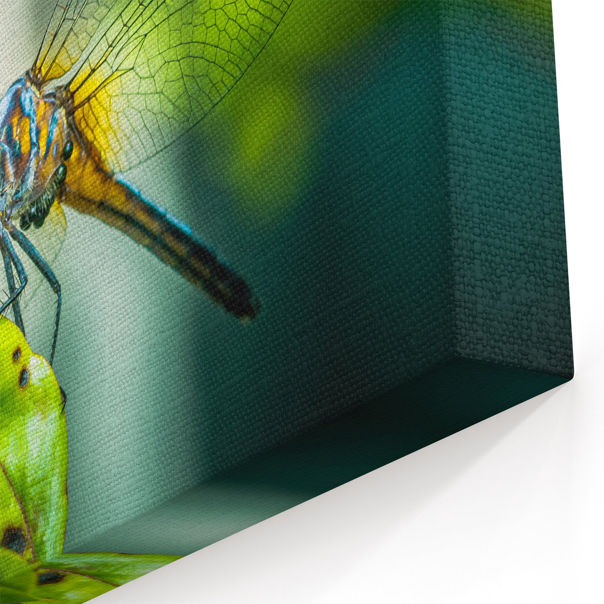 Dragonfly Wall Art - Nature Inspired Canvas & Framed Print Decor