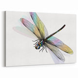 Dragonfly Art Poster - Vibrant Insect Wall Decor in Canvas & Framed Prints