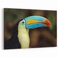 Colorful Toucan Profile Wall Art - Vibrant Tropical Birds Canvas Print
