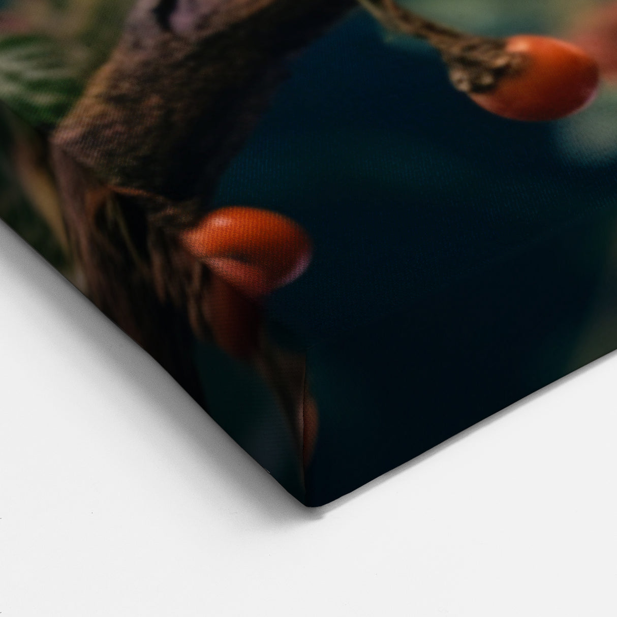 Toucans on a Branch Wall Art - Vibrant Tropical Birds Canvas Print Decor