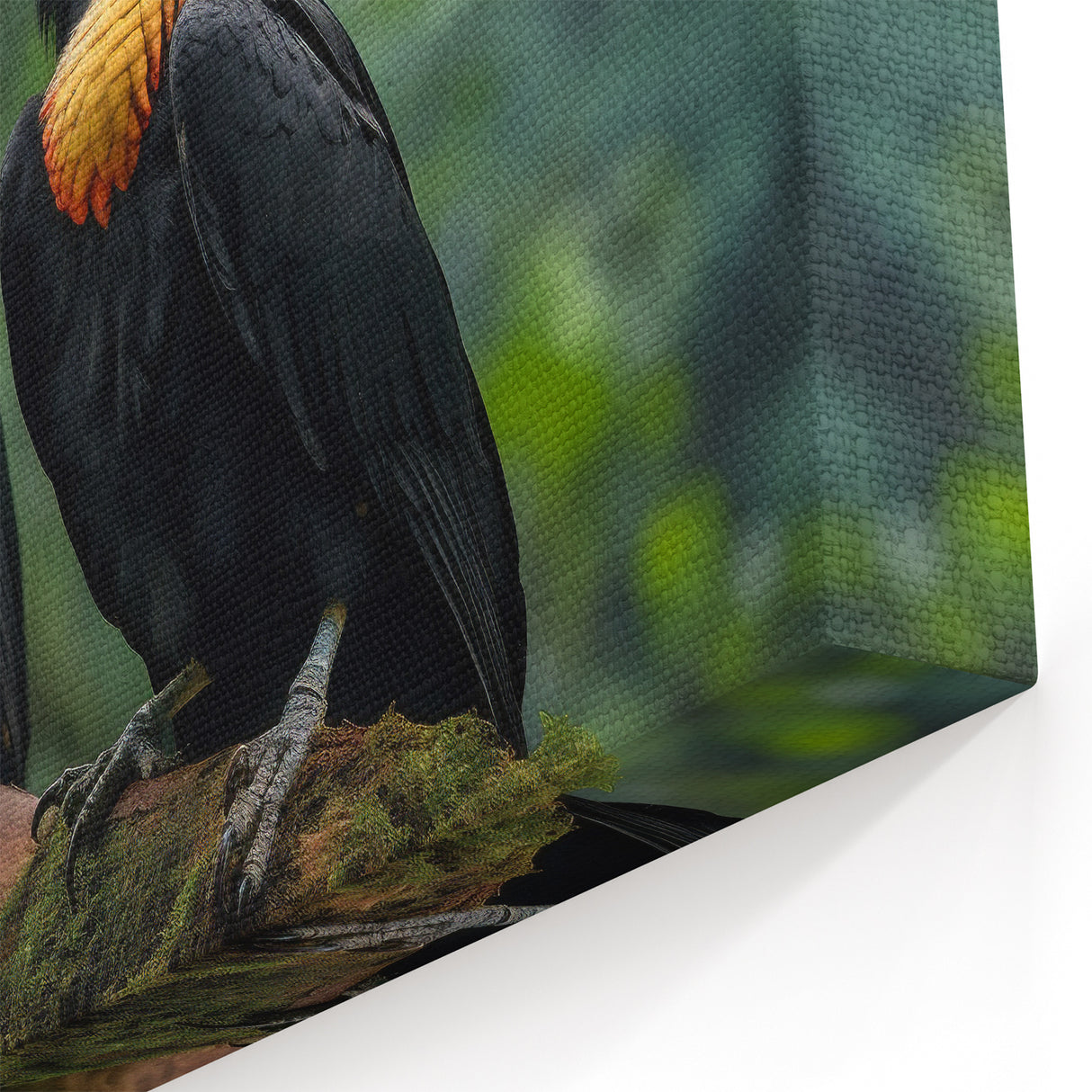 Exotic Hornbill Birds Wall Art - Tropical Wildlife Print Nature Decor