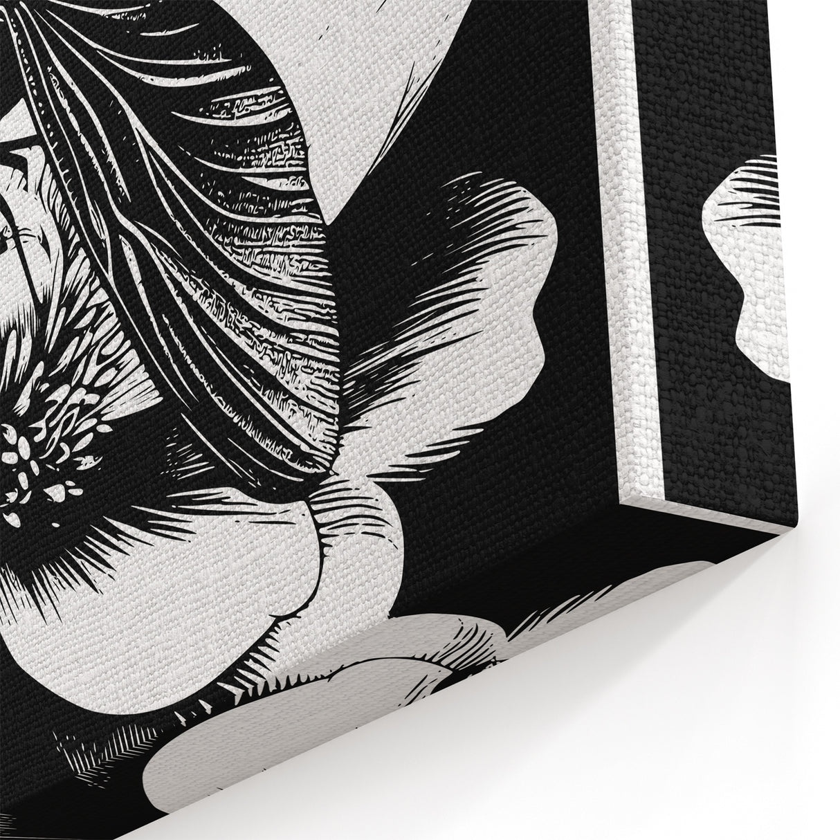 Dragonfly Framed Art - Black and White Nature Canvas & Print Decor