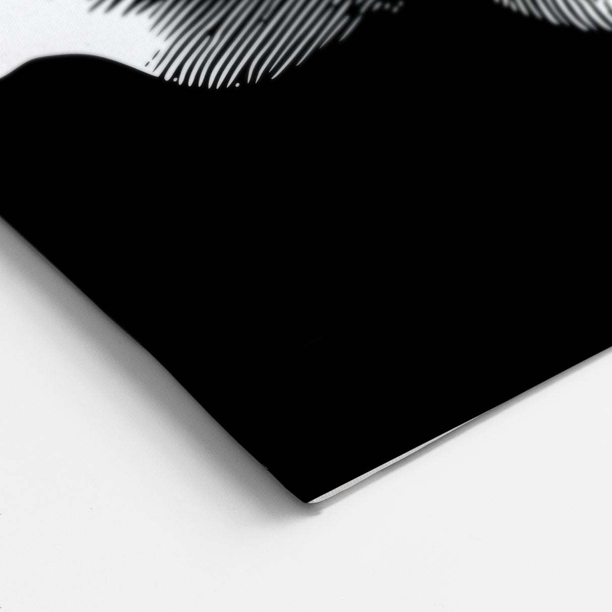 Dragonfly Framed Art - Black and White Nature Canvas & Print Decor