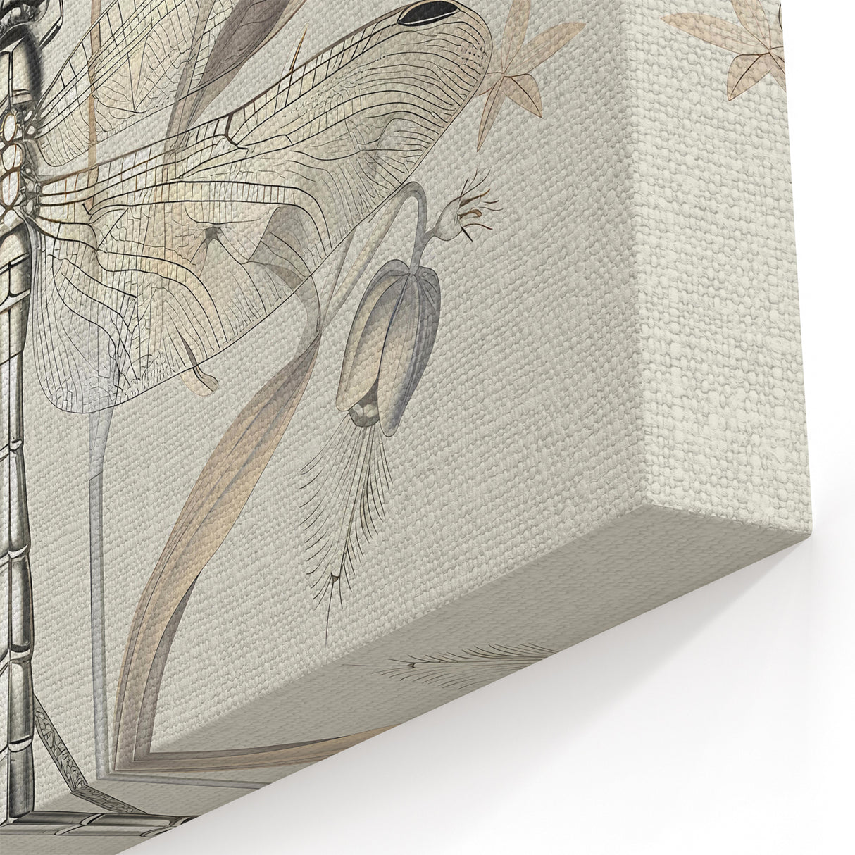 Dragonfly Wall Art - Elegant Floral Decor in Canvas & Framed Prints