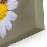 Ladybug Wall Art on Daisy Flower - Cute Ladybug Canvas & Framed Prints