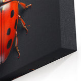Ladybug Wall Art - Bold and Striking Ladybug Canvas Print for Nature Lovers