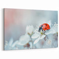 Ladybug on White Flowers - Elegant Ladybug Canvas & Framed Wall Art