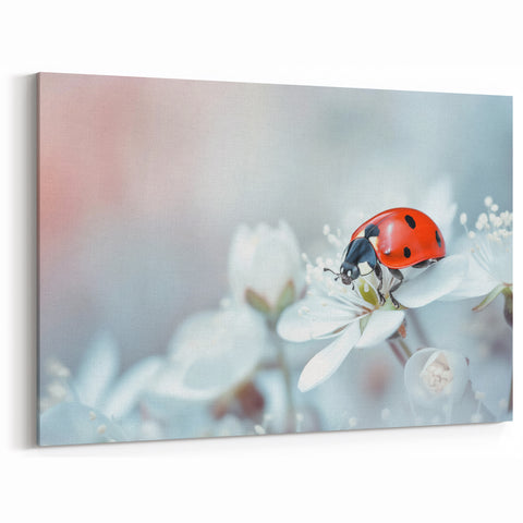 Ladybug on White Flowers - Elegant Ladybug Canvas & Framed Wall Art