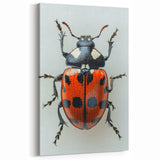 Ladybug Wall Art - Realistic Ladybug Canvas Print for Nature Enthusiasts