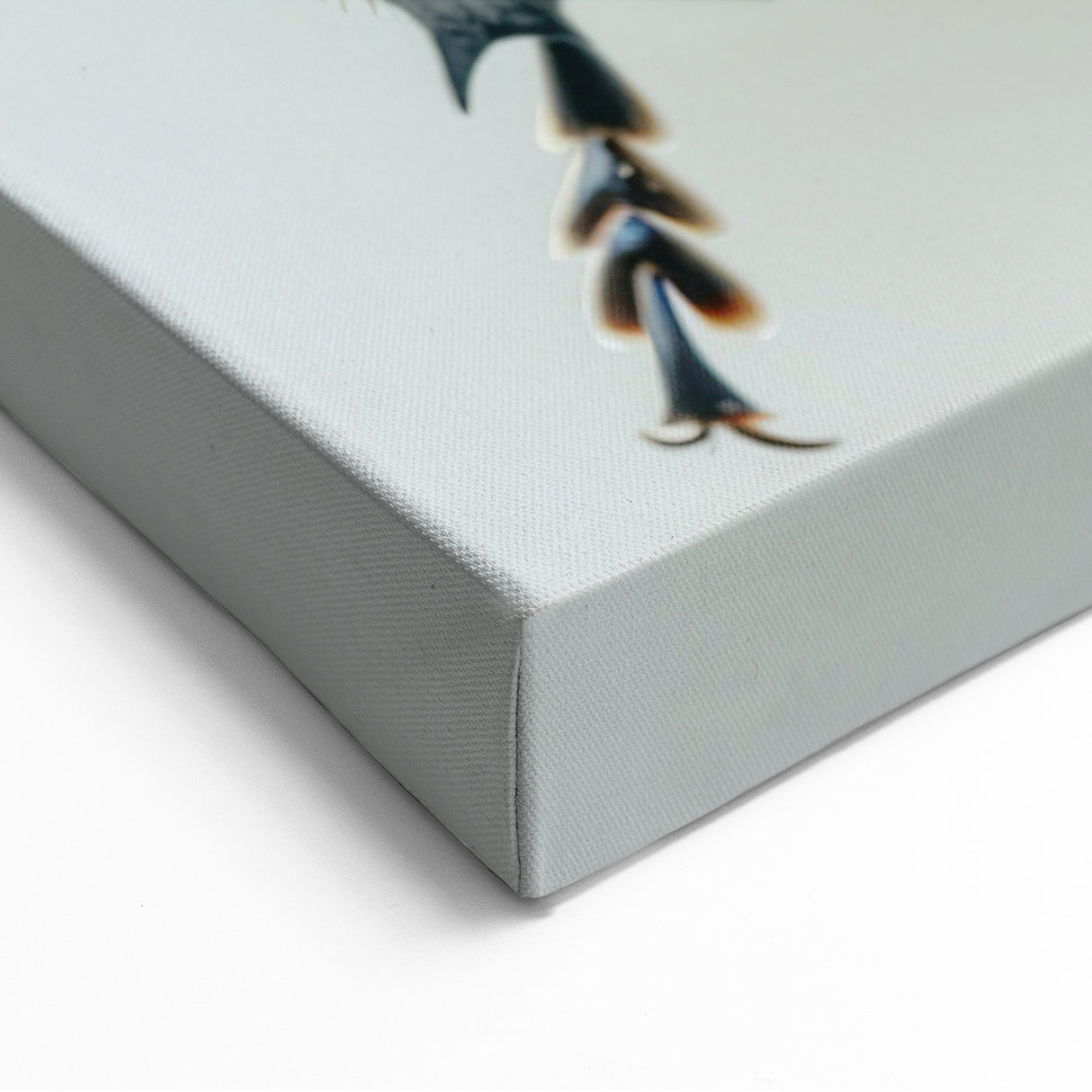 Ladybug Wall Art - Realistic Ladybug Canvas Print for Nature Enthusiasts