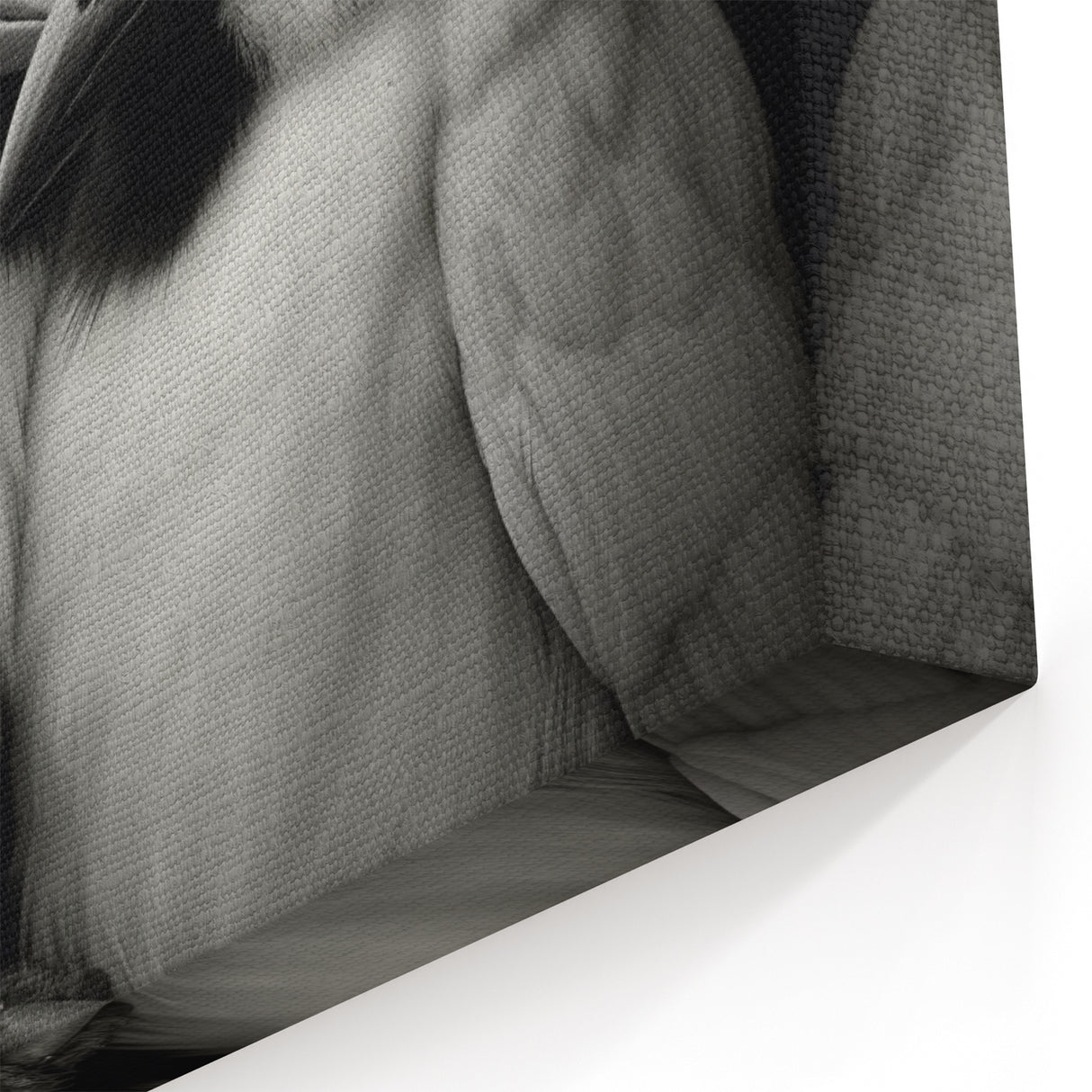 Monochrome Lovebirds Wall Art - Black and White Bird Print Elegant Decor