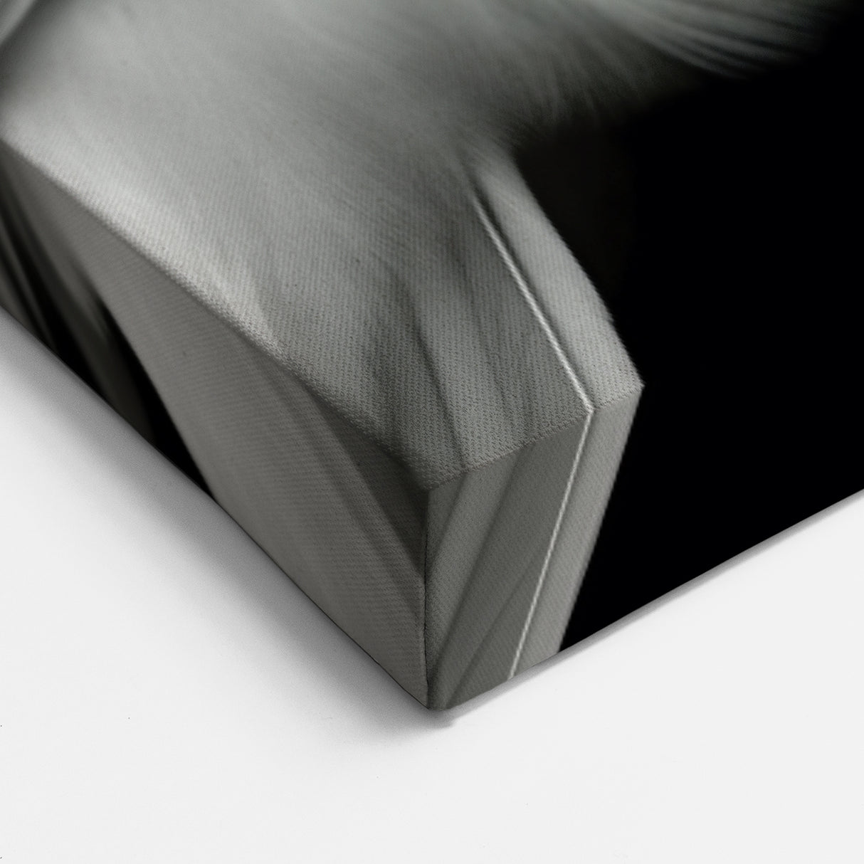 Monochrome Lovebirds Wall Art - Black and White Bird Print Elegant Decor