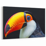 Bold Toucan Wall Art - Vibrant Tropical Bird Print Modern Decor