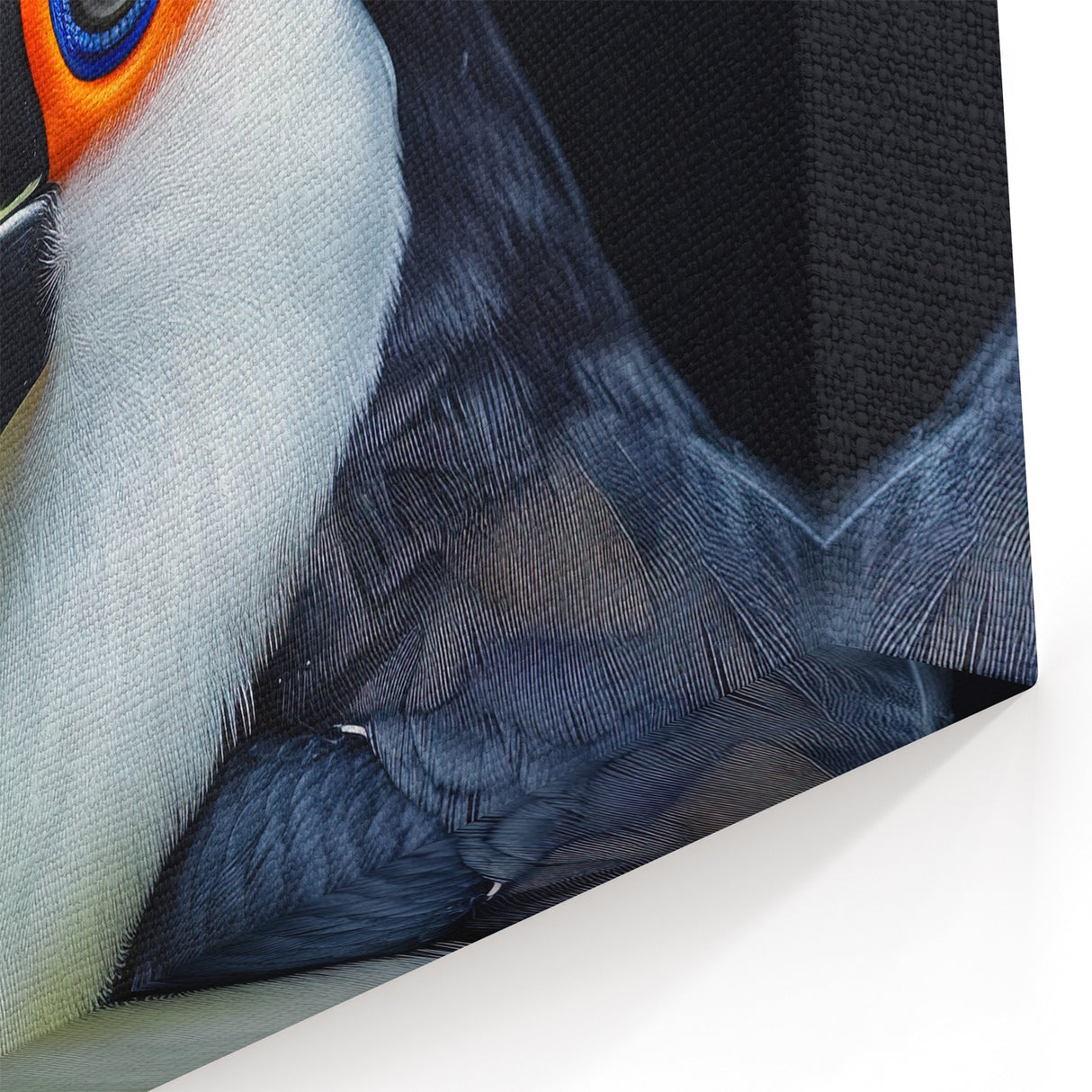 Bold Toucan Wall Art - Vibrant Tropical Bird Print Modern Decor