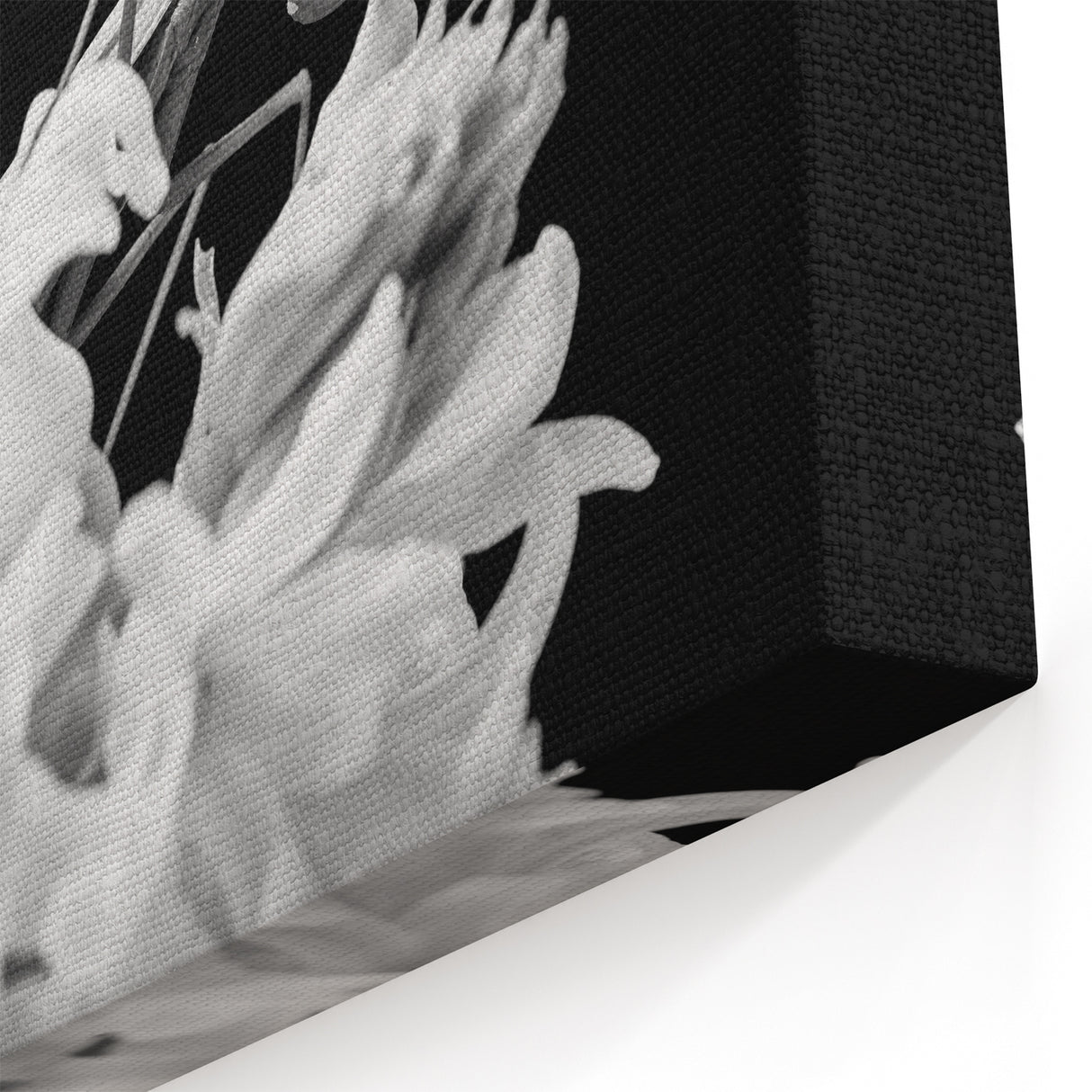 Praying Mantis Art - Black & White Canvas Print for Nature Wall Decor