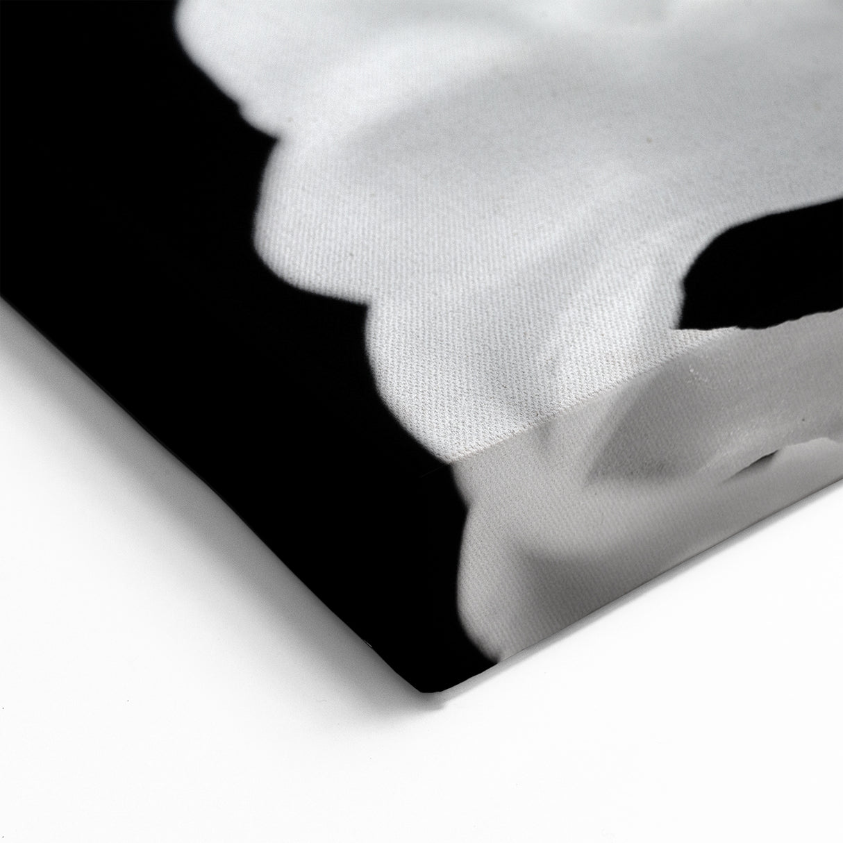 Praying Mantis Art - Black & White Canvas Print for Nature Wall Decor