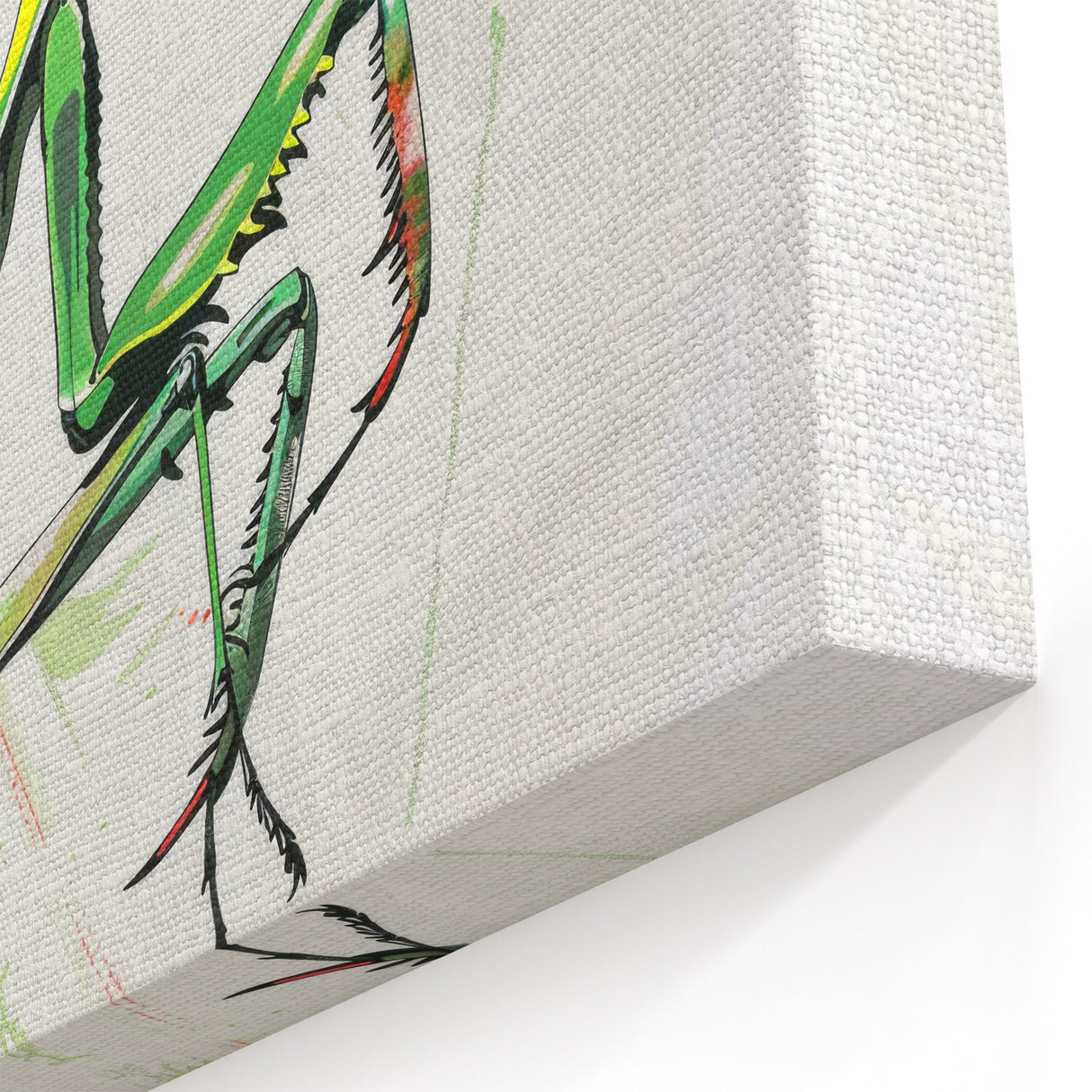 Mantis Wall Art - Praying Mantis Canvas Print | Insect Decor for Nature Lovers