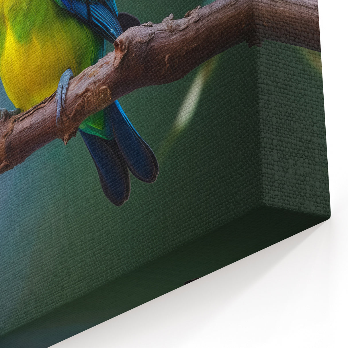 Charming Tropical Bird Pair Wall Art - Vibrant Yellow and Blue Decor