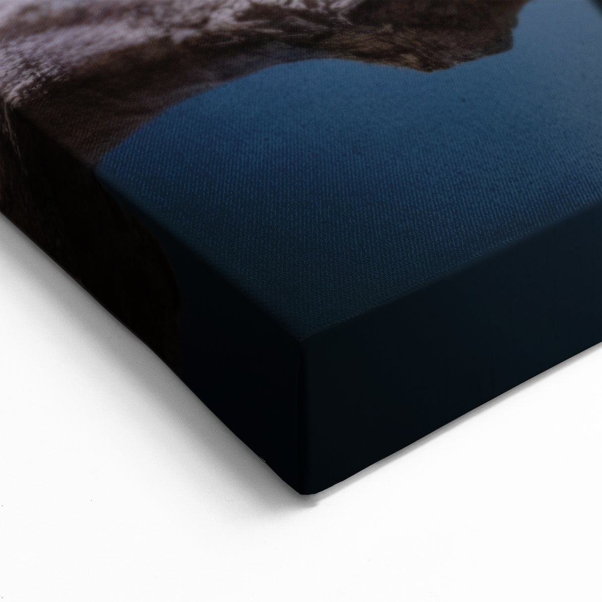 Charming Tropical Bird Pair Wall Art - Vibrant Yellow and Blue Decor