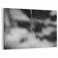 Spider Web Art - Black & White Spider Wall Decor - Canvas & Framed Print