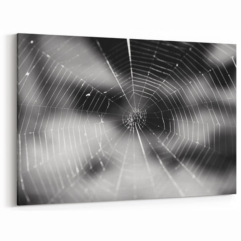 Spider Web Art - Black & White Spider Wall Decor - Canvas & Framed Print