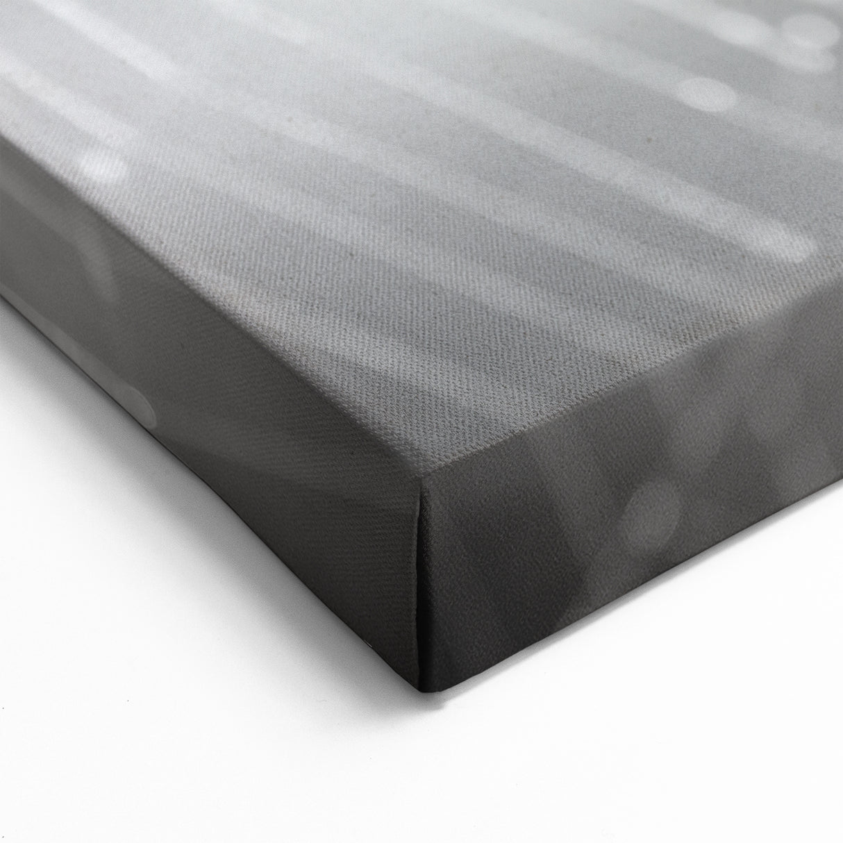 Spider Web Art - Black & White Spider Wall Decor - Canvas & Framed Print