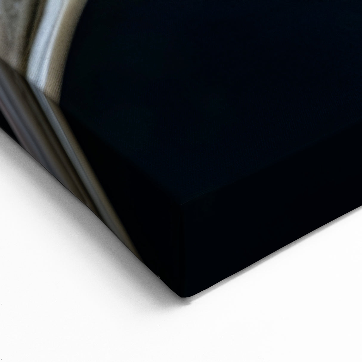 Elegant Tropical Bird Wall Art - Exotic Birds Canvas Print - Framed Art