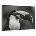 Monochrome Tropical Bird Wall Art - Exotic Toucan Canvas Print - Framed Art