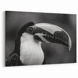 Monochrome Tropical Bird Wall Art - Exotic Toucan Canvas Print - Framed Art