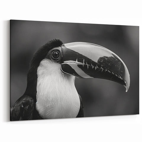 Monochrome Tropical Bird Wall Art - Exotic Toucan Canvas Print - Framed Art