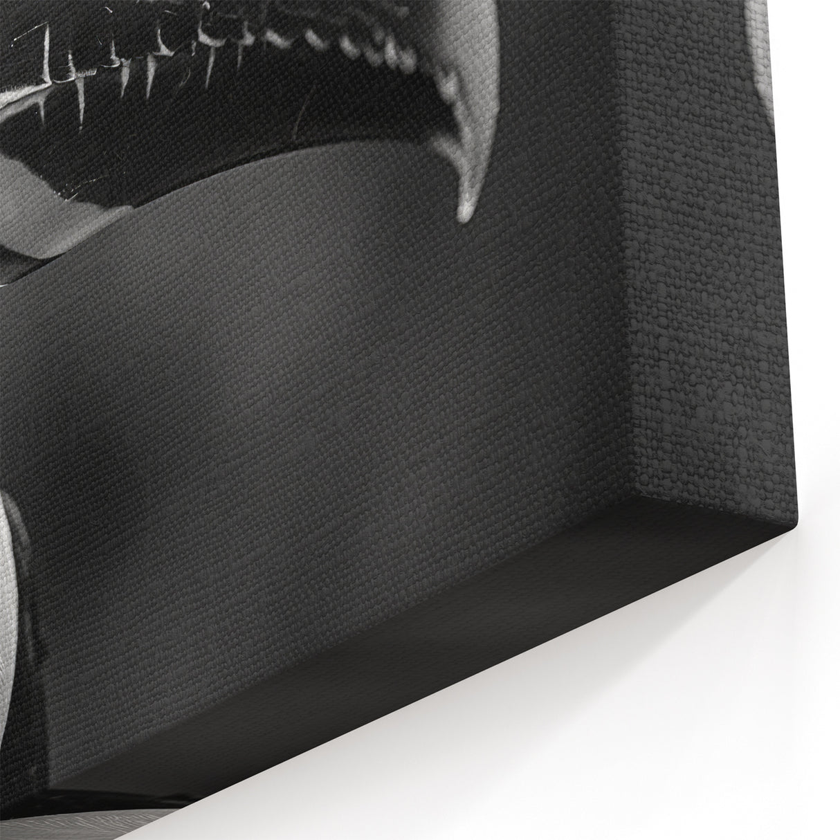 Monochrome Tropical Bird Wall Art - Exotic Toucan Canvas Print - Framed Art