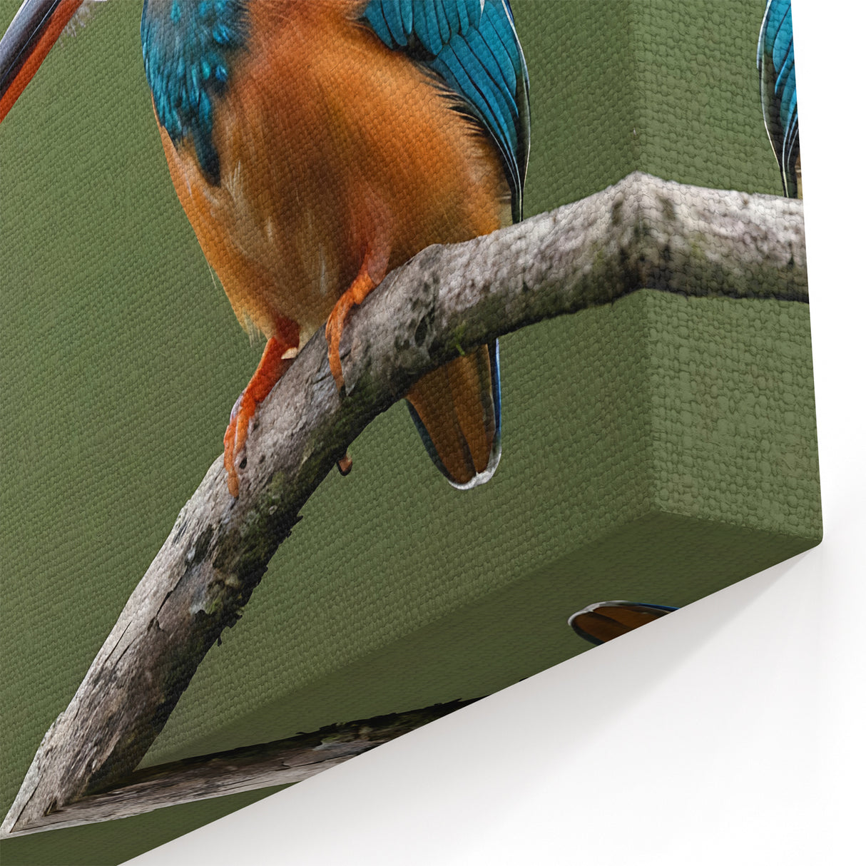Serene Kingfisher Wall Art - Natural Tropical Bird Canvas Print - Framed Art